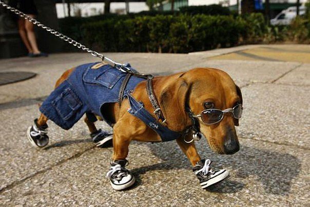 Spiff Up Your Appearance